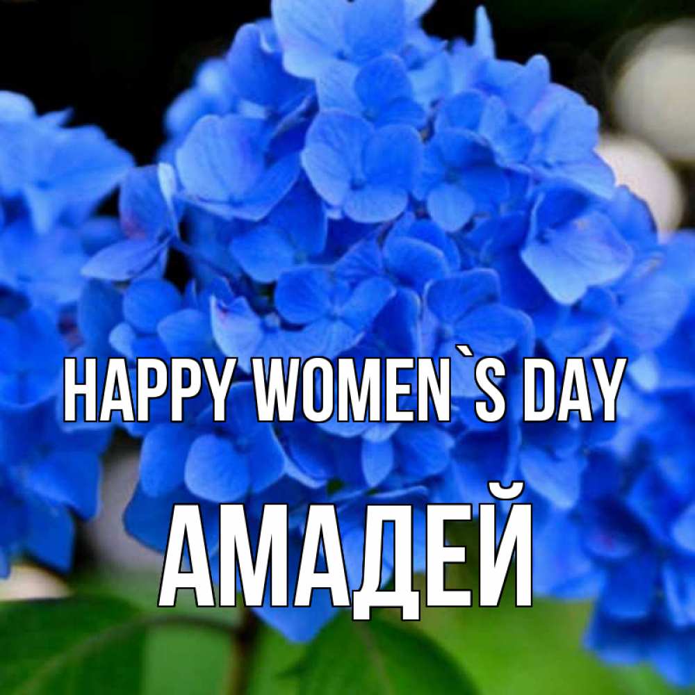 Greetings card с именем, Амадей happy women`s day синие цветы Greetings with text for free download 